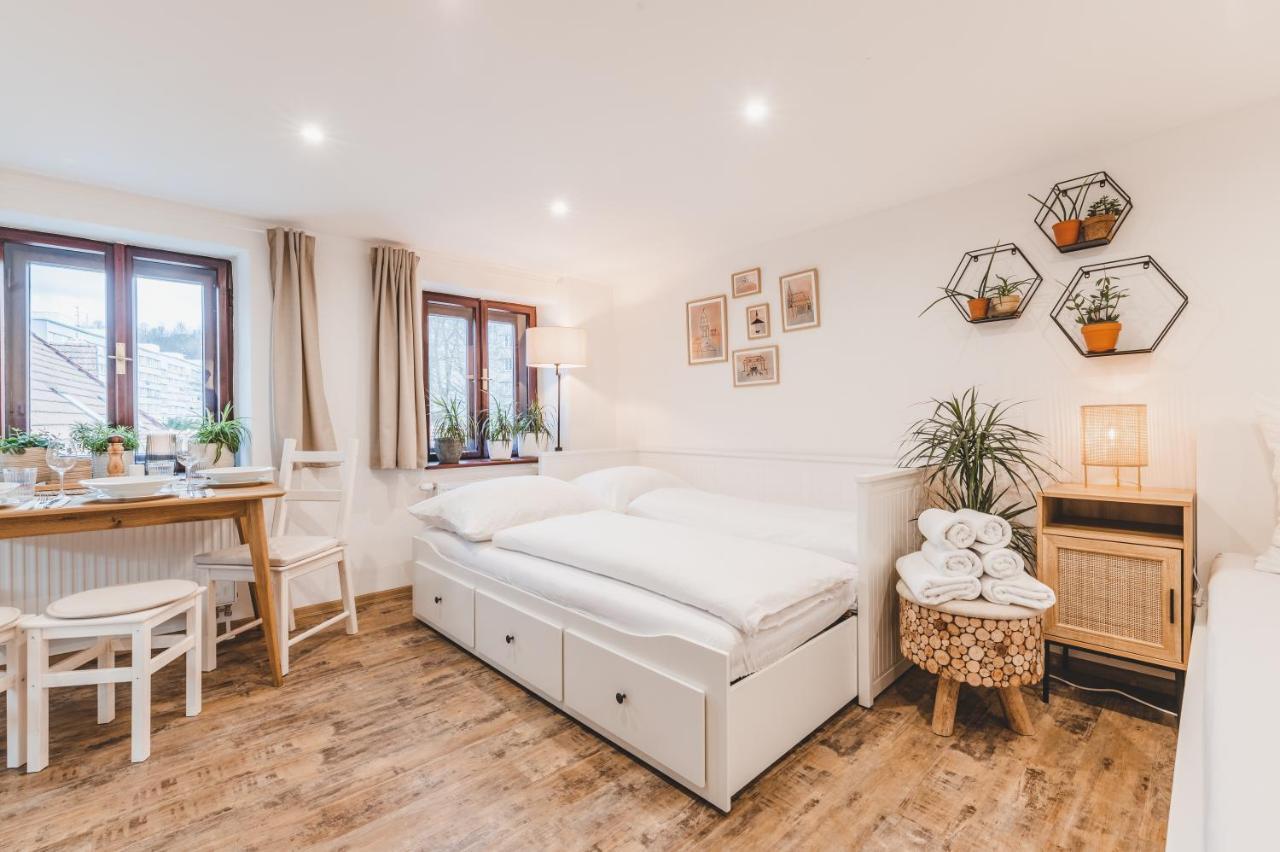 Konekt Apartment Český Krumlov المظهر الخارجي الصورة
